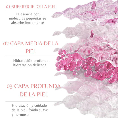 Kit skincare Biaqua 6 pasos de agua de rosas y ácido Hialurónico